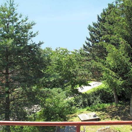 Holiday Home Jitka By Interhome Jablonne nad Orlici Exterior foto